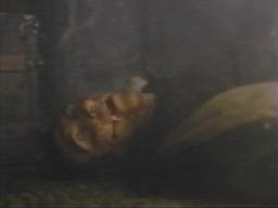 Juddhirsch