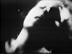 Leniriefenstahl