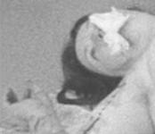 Sylvianegode