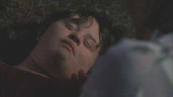 Jamiebrewer