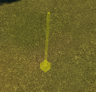 Bridge point 1