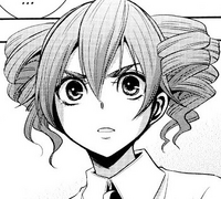 Chapter 1 Himeko