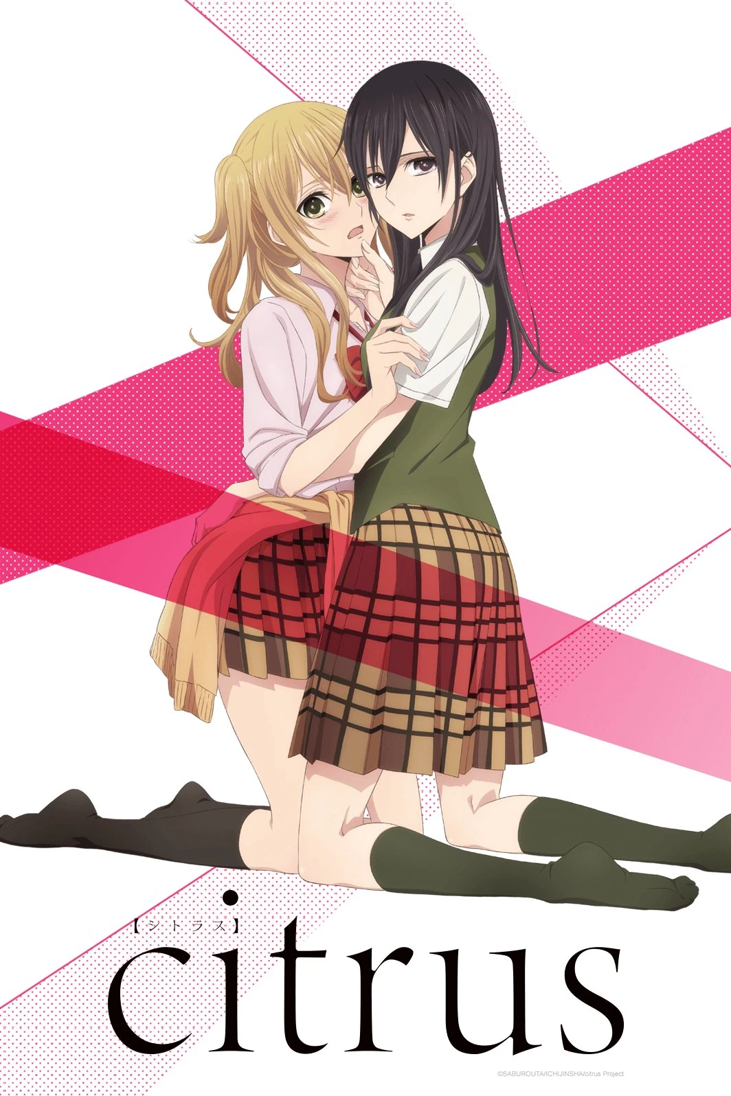 Citrus Anime Poster Citrus Anime Poster