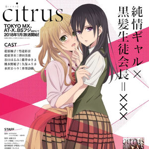 Anime Citrus Wiki Fandom