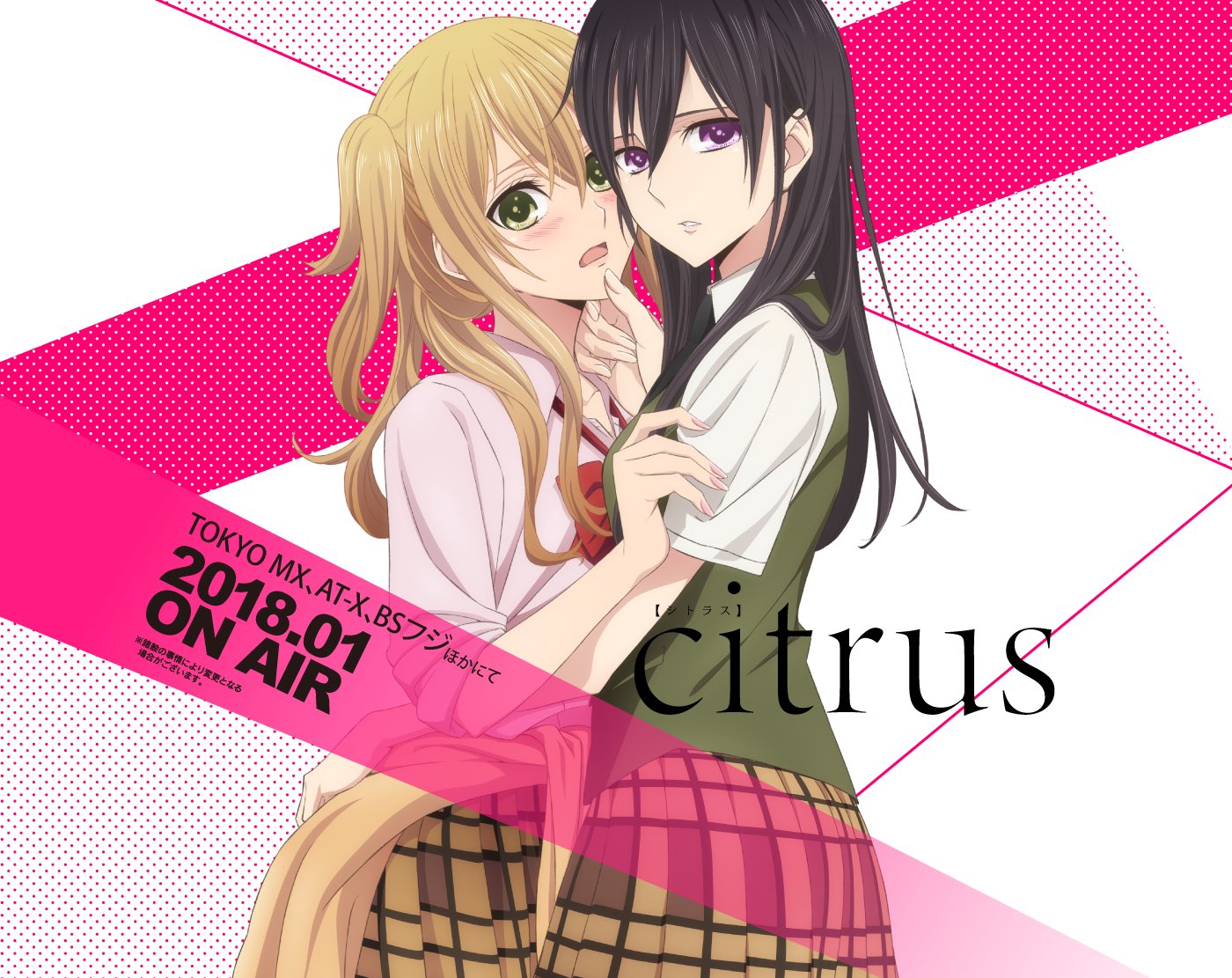 Hasil gambar untuk citrus anime