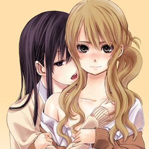 Manga Citrus Wiki Fandom