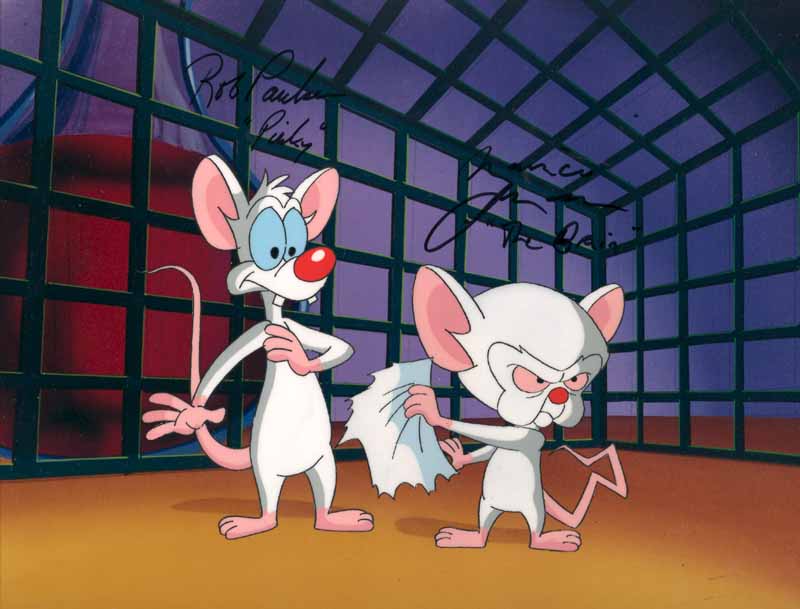 Pinky and the Brain | CITV Wiki | FANDOM powered by Wikia