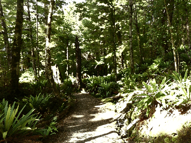 File:Fielli-Highlands.gif