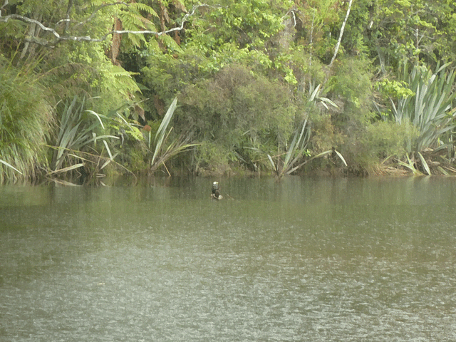 File:Olfen-Marsh.gif