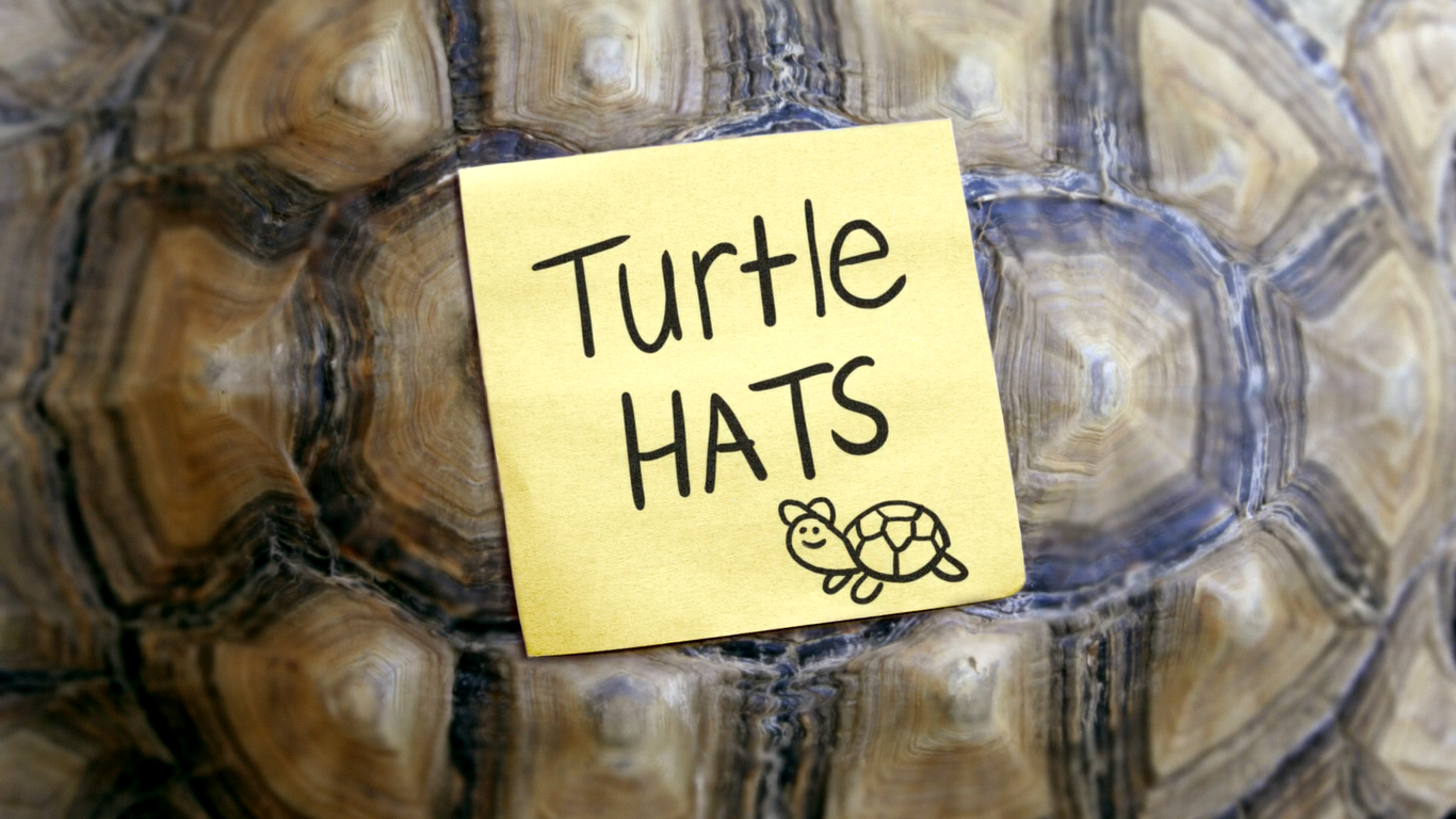 What Does Turtle Hats Mean In Slang