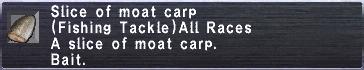 SliceofCarp.JPG