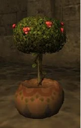 Tree cutting flowering