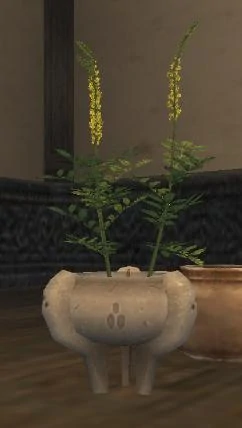 Herb seed flowering