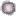Trans Light