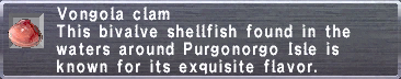 Vongola clam