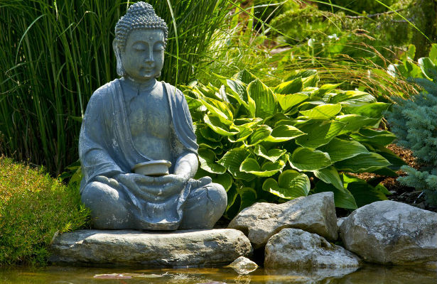 Zen Buddhism | Classification Wiki | Fandom