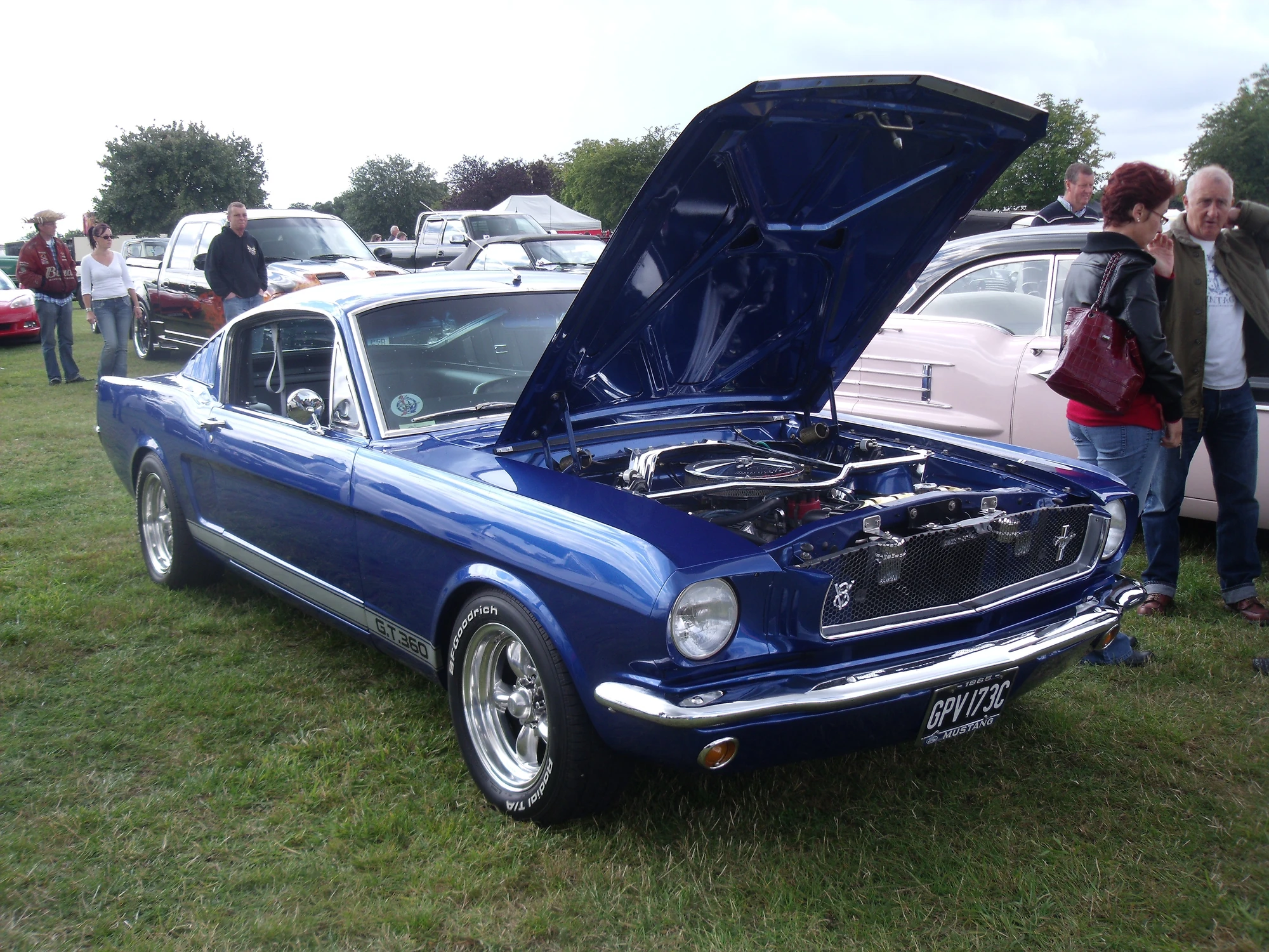 Shelby Gt350 Classic Cars Wiki Fandom Powered By Wikia