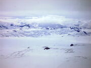 IceField