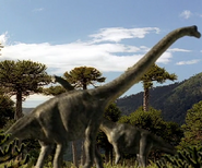 Brachiosaurus Disambiguation | CleverClaire99 Wiki | FANDOM powered by Wikia