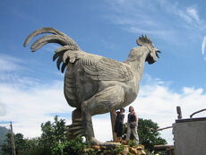 Chicken