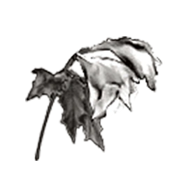 Withered Flowers | Clock Tower Wiki | Fandom