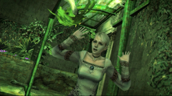 Mandragora2