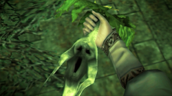 Mandragora1