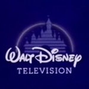 Walt Disney Television Summary Closing Logo Group Wikia Fandom