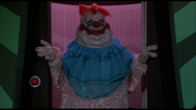 Chubby-1-