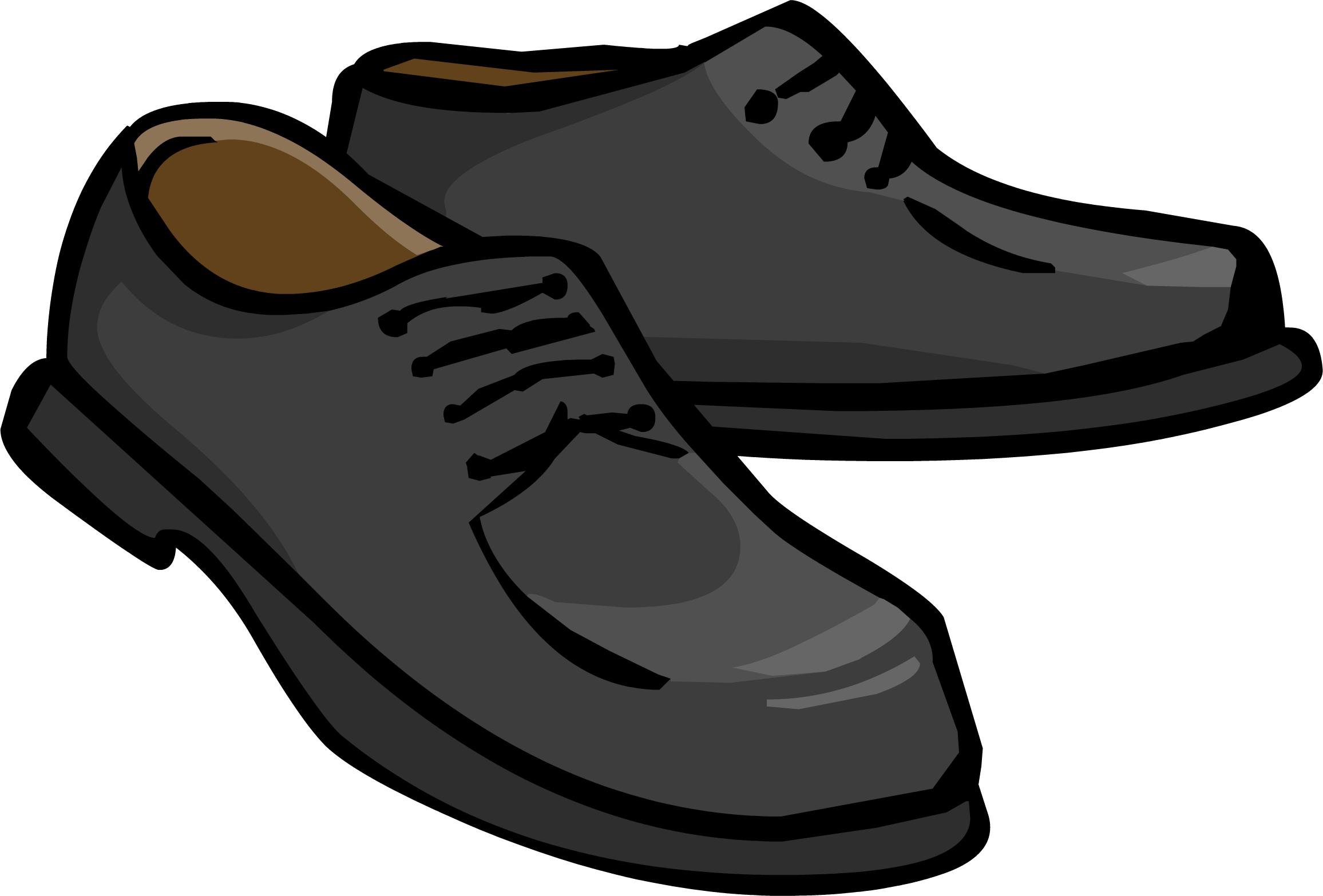 leather shoes wiki