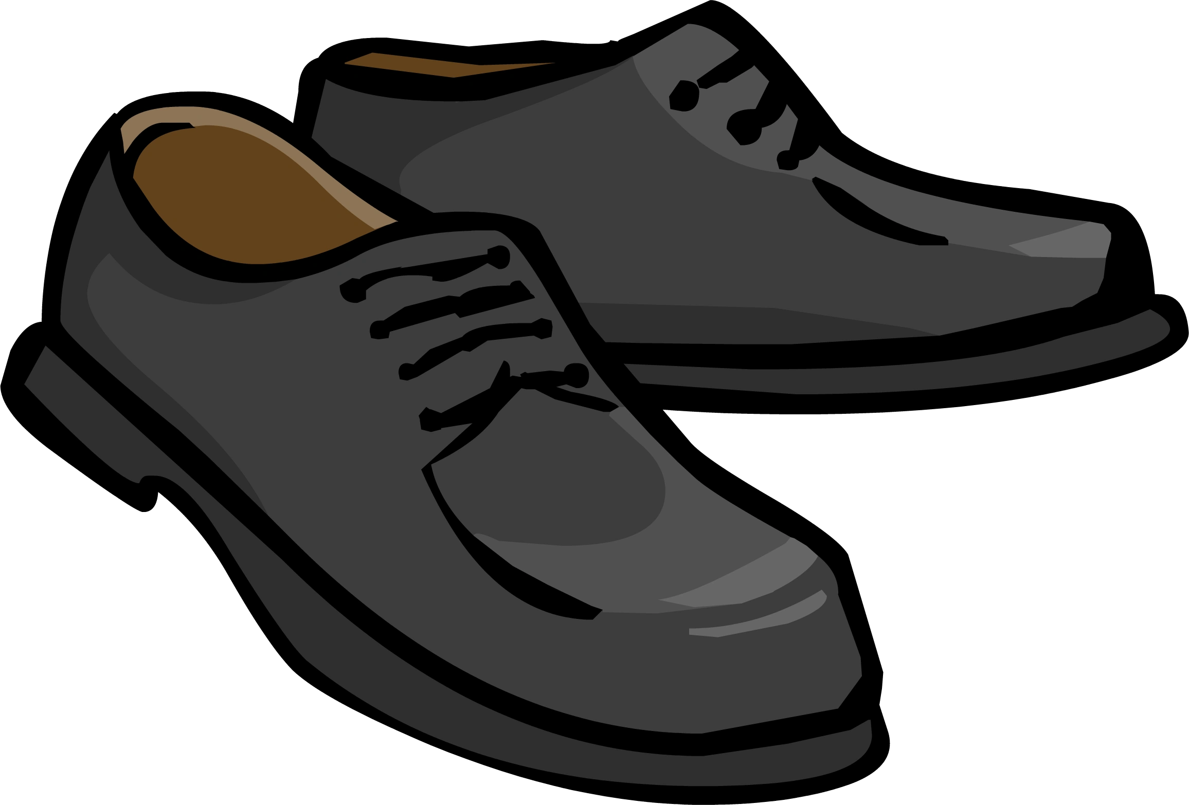 leather shoes wiki
