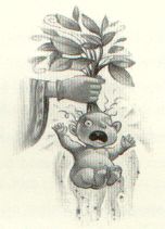 Mandrake