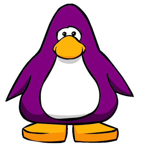 File:Arctic White from a Player Card.png