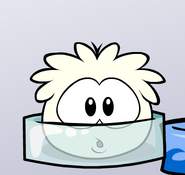 white puffle plush