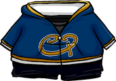 Blue Club Penguin Hoodie