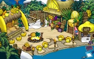Adventure Party Temple of Fruit Cove 2