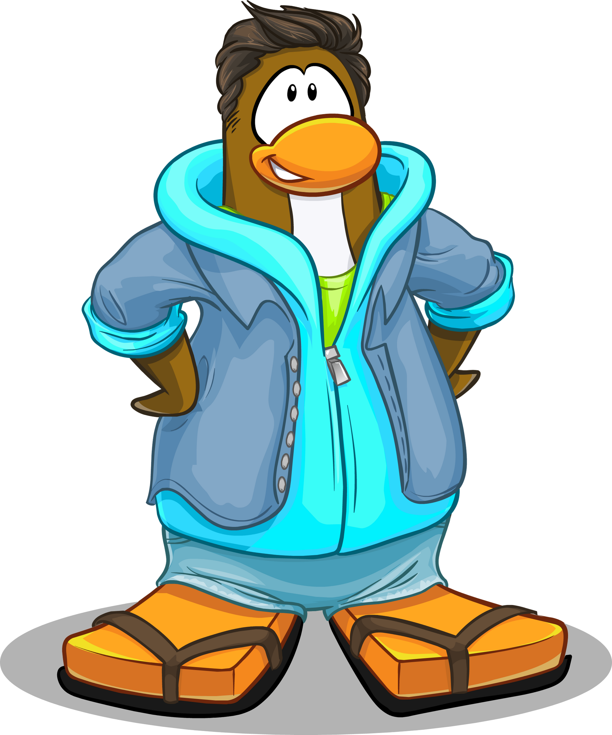 Sandy Flip Flops | Club Penguin Wiki | Fandom