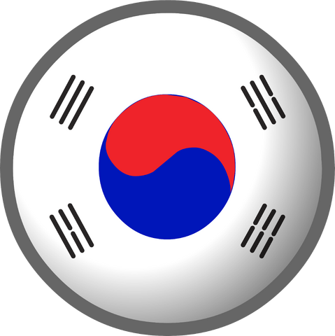 Image - South Korea flag clothing icon ID 513.png | Club Penguin Wiki | FANDOM powered ...