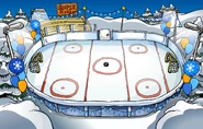 Winter Party Ice Rink