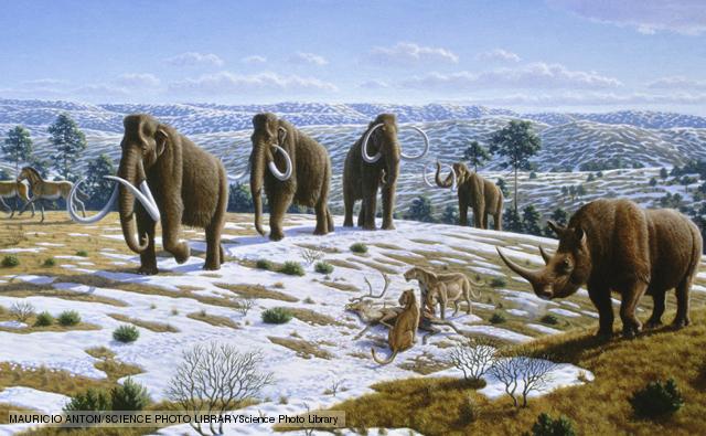Last ice age