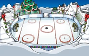 Fiesta de Navidad 2008 Pista de hielo