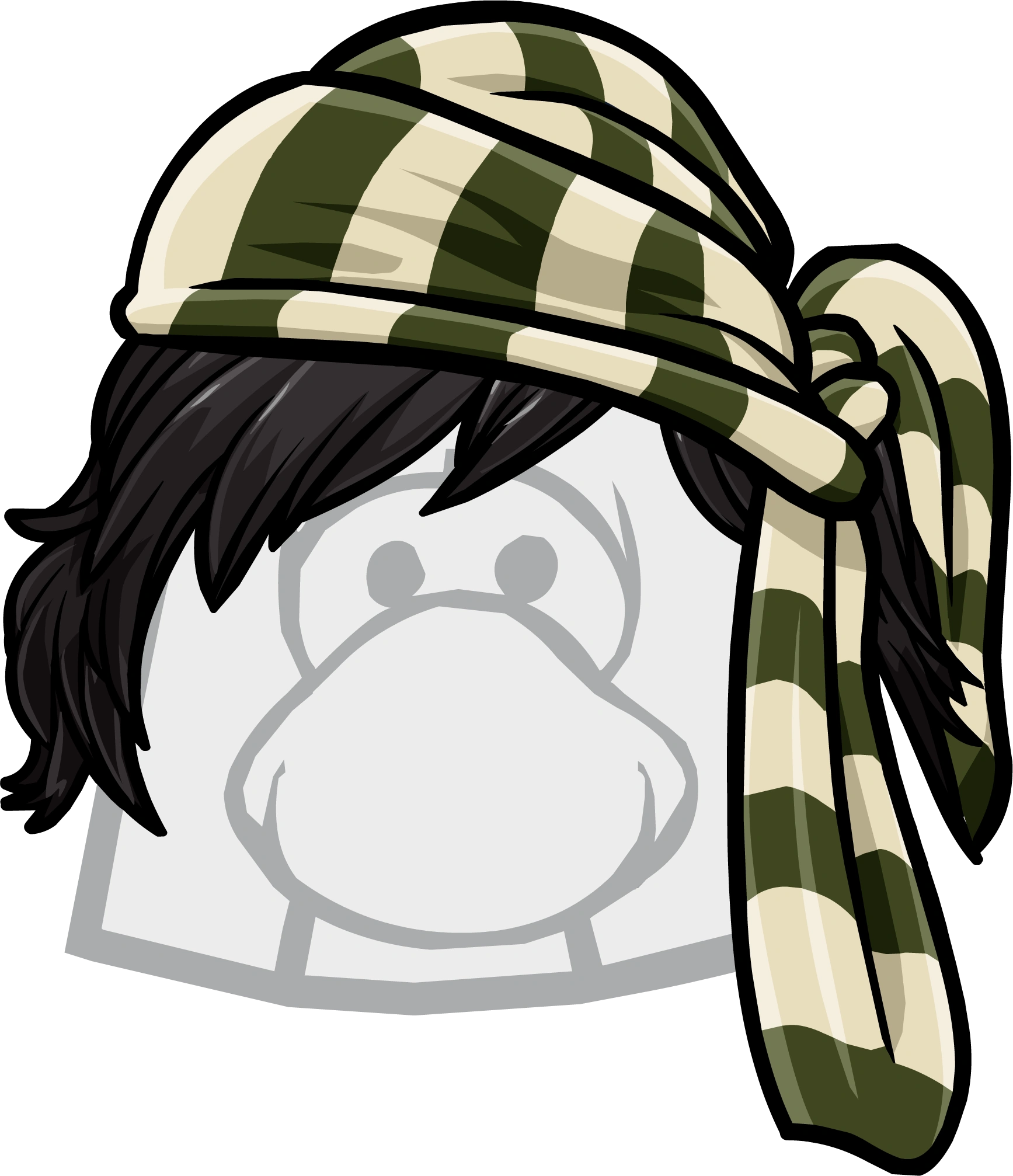 The Pirateer Club Penguin Wiki FANDOM powered by Wikia