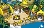 10th Anniversary Party Cove