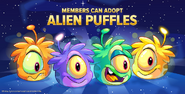 November-Member-Alien-Puffle-Billboard