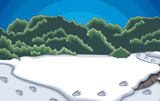 Expedición a la Naturaleza 2016 rfp21