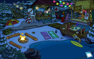 Operation Puffle Cove