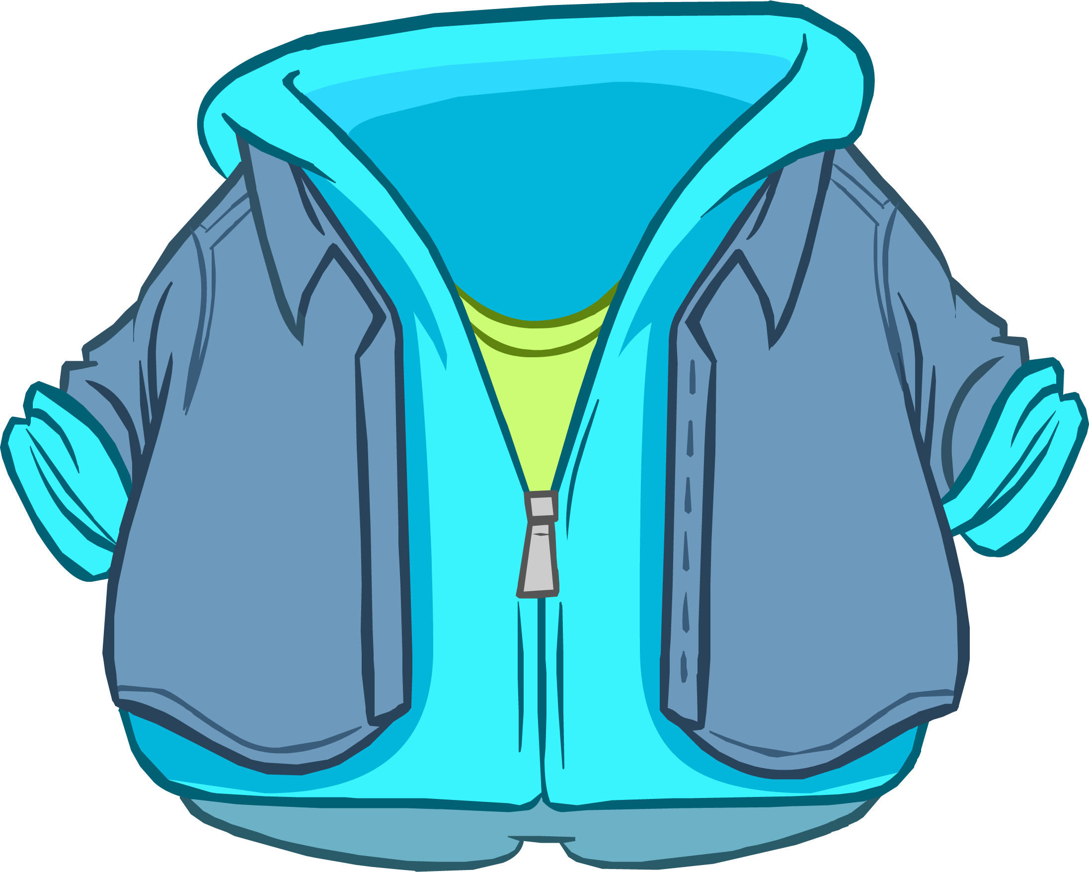 Image - SDJH.png | Club Penguin Wiki | FANDOM powered by Wikia