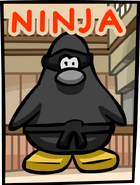 Cartel ninja