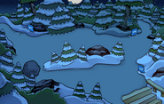 Operation Puffle Forest