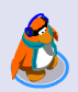 Rocky Ninja Calas